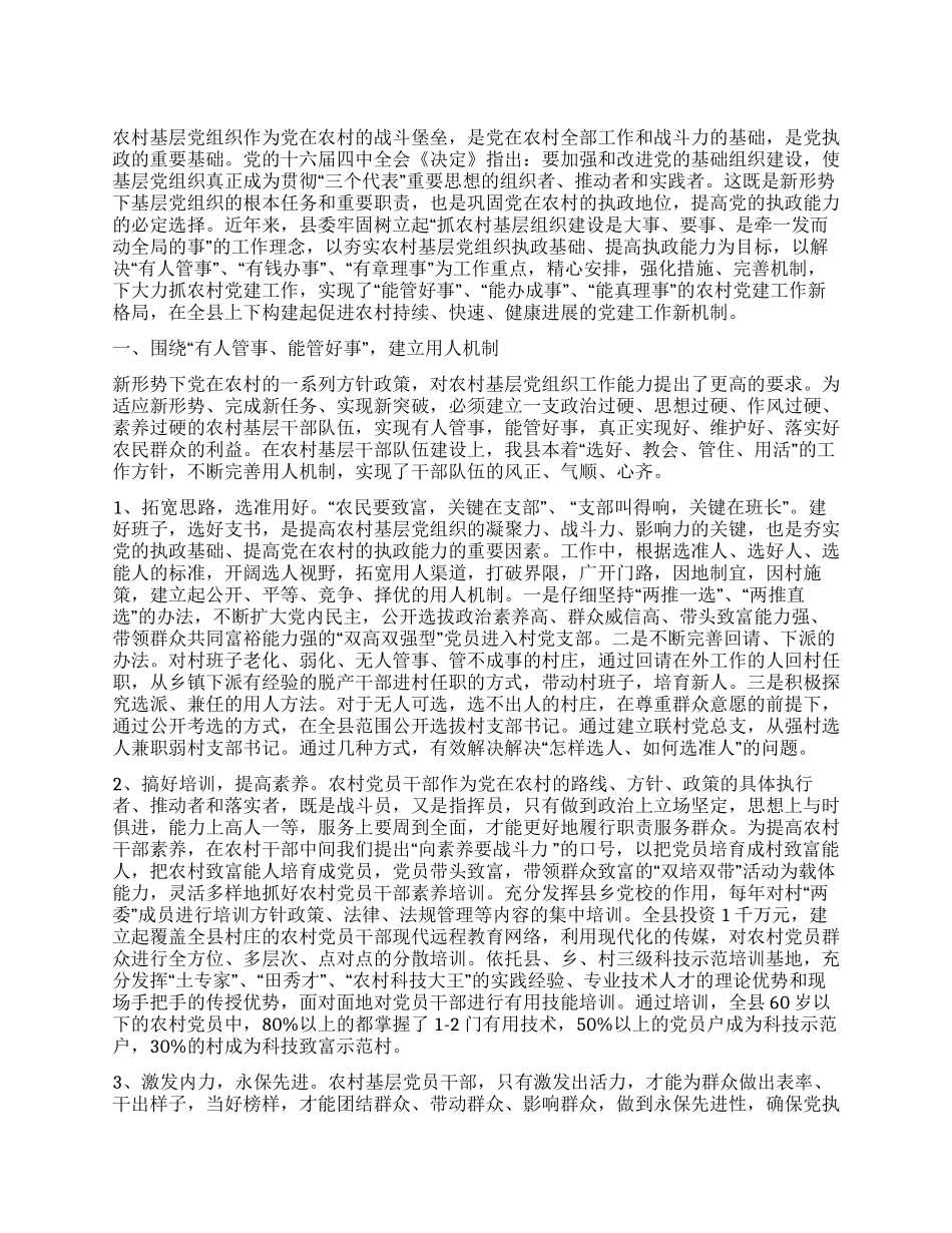 夯实党的执政基础构建农村党建长效机制_第1页