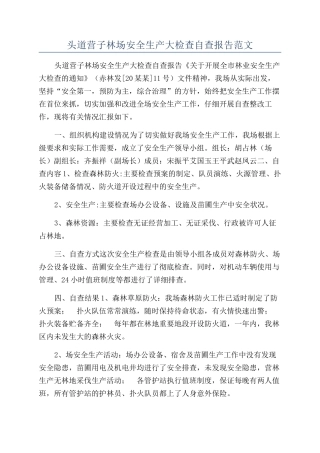 头道营子林场安全生产大检查自查报告范文