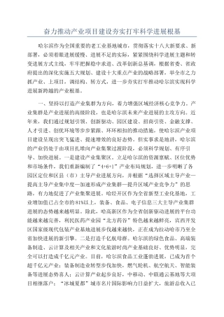 奋力推进产业项目建设夯实打牢科学发展根基