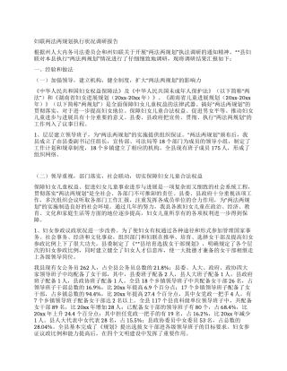 妇联两法两规划执行状况调研报告