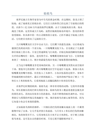 始祖鸟-精品文档