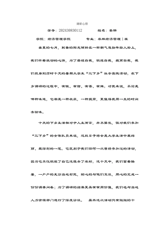 姜珊-三下乡总结