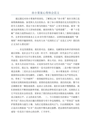 孙小果案心得体会范文