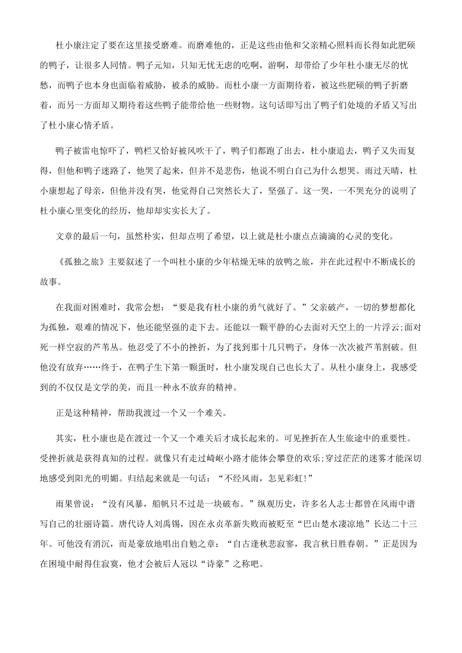 孤独之旅作文600字_第2页
