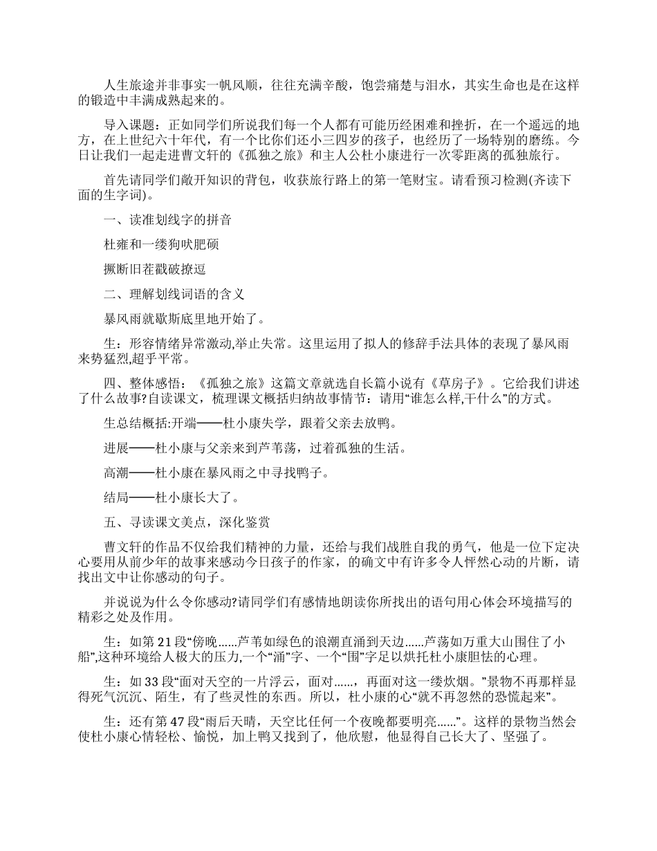 孤独之旅教案四篇_第2页