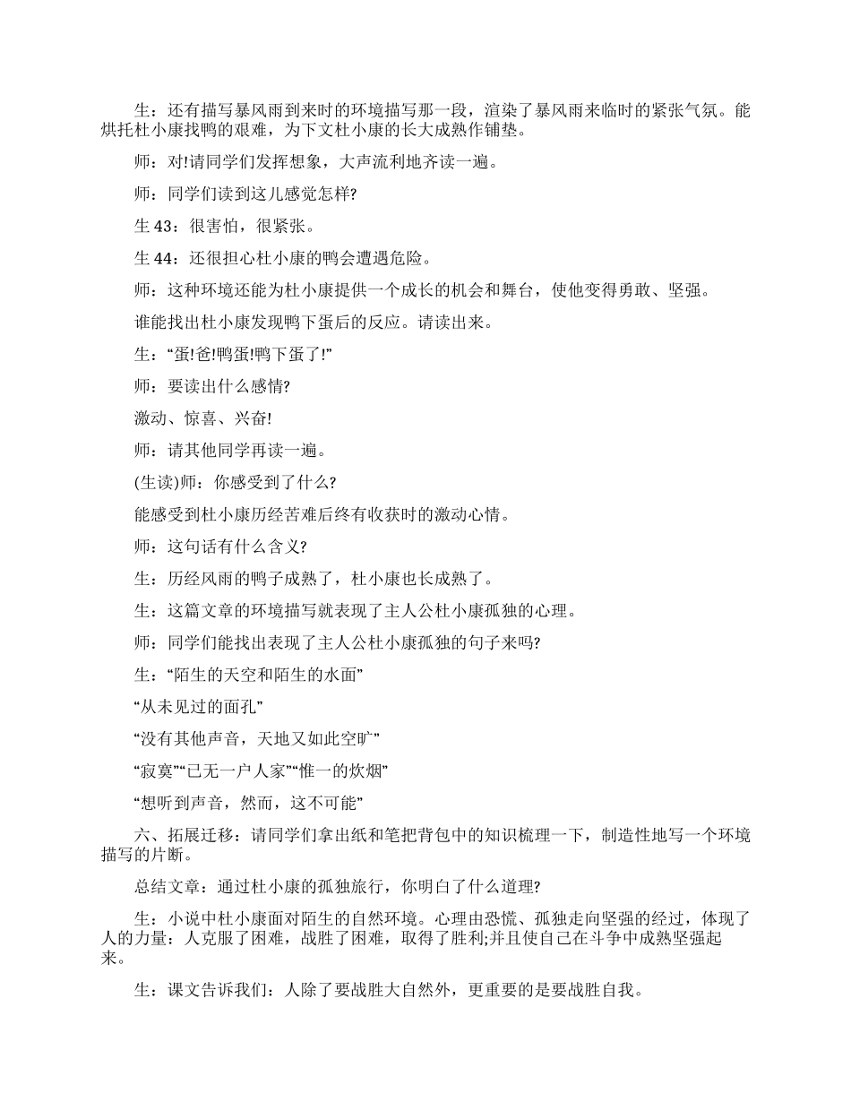 孤独之旅教案四篇_第3页