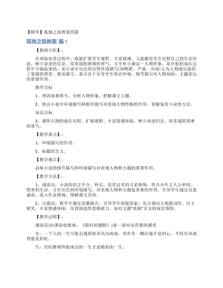 孤独之旅教案四篇