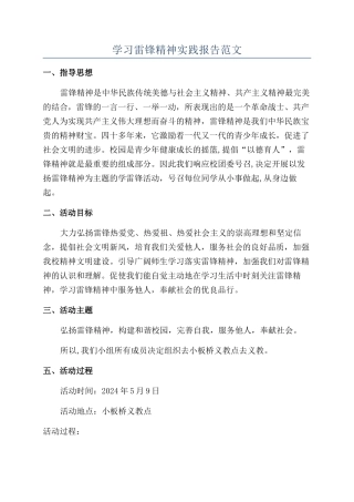学习雷锋精神实践报告范文