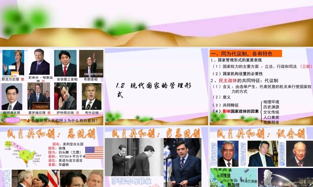 现代国家的管理形式教学课件