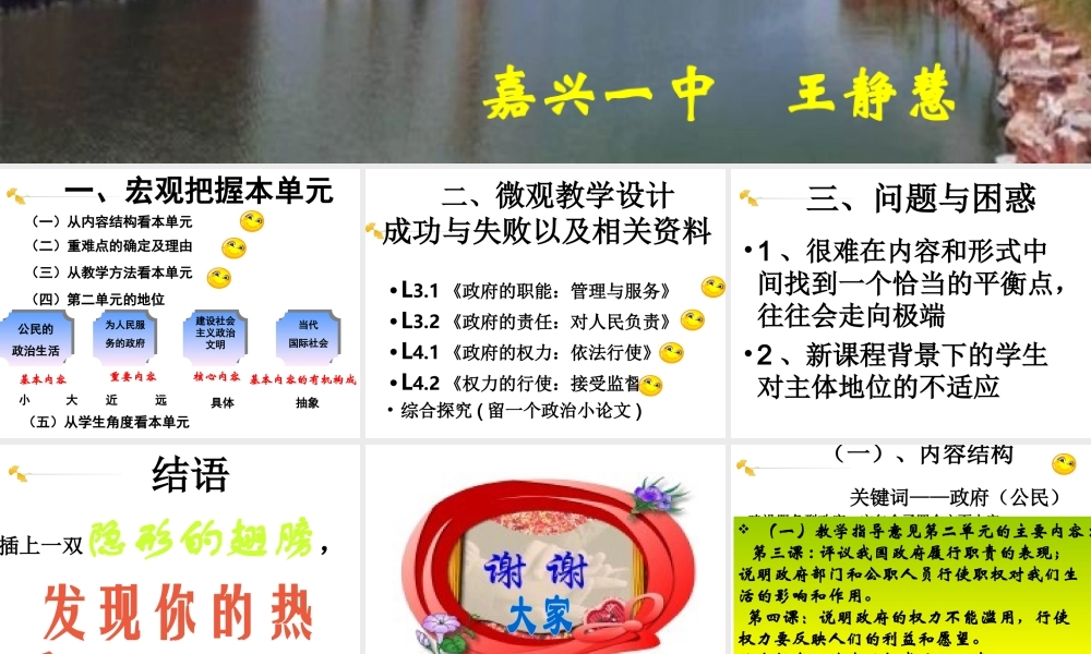 新课程为人民服务的政府为人民服务的政府培训