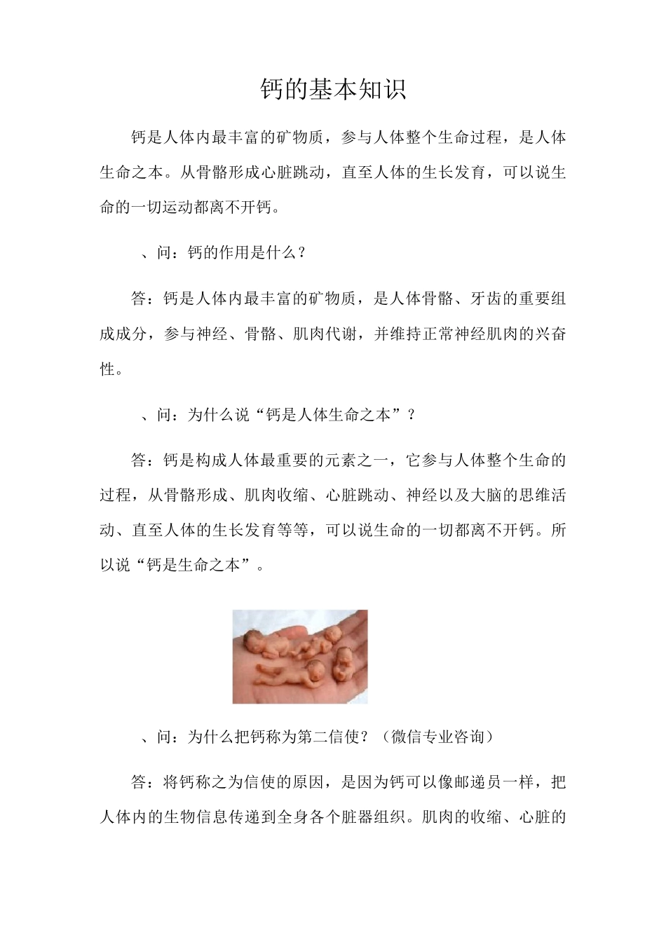 钙的基本知识_第1页