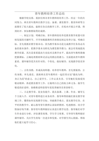 青年教师培养工作总结