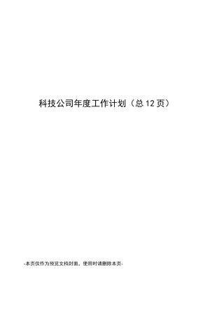 科技公司年度工作计划