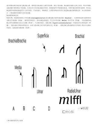 手把手教你桡动脉穿刺技巧(精美图文)