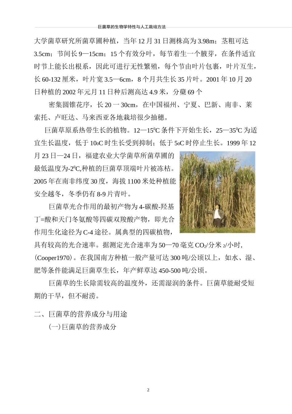 皇竹草的生物学特性-巨菌草_第3页
