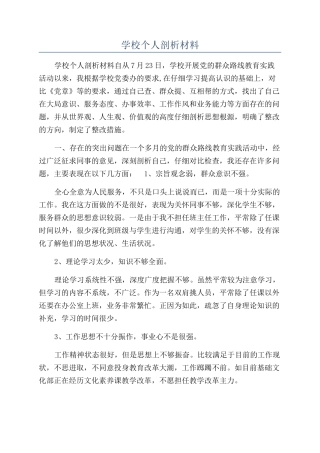 学校个人剖析材料