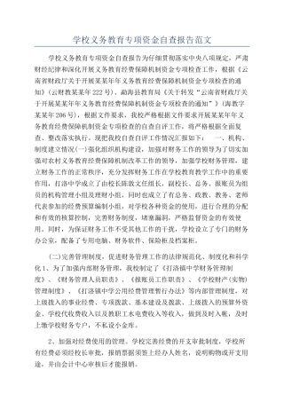 学校义务教育专项资金自查报告范文