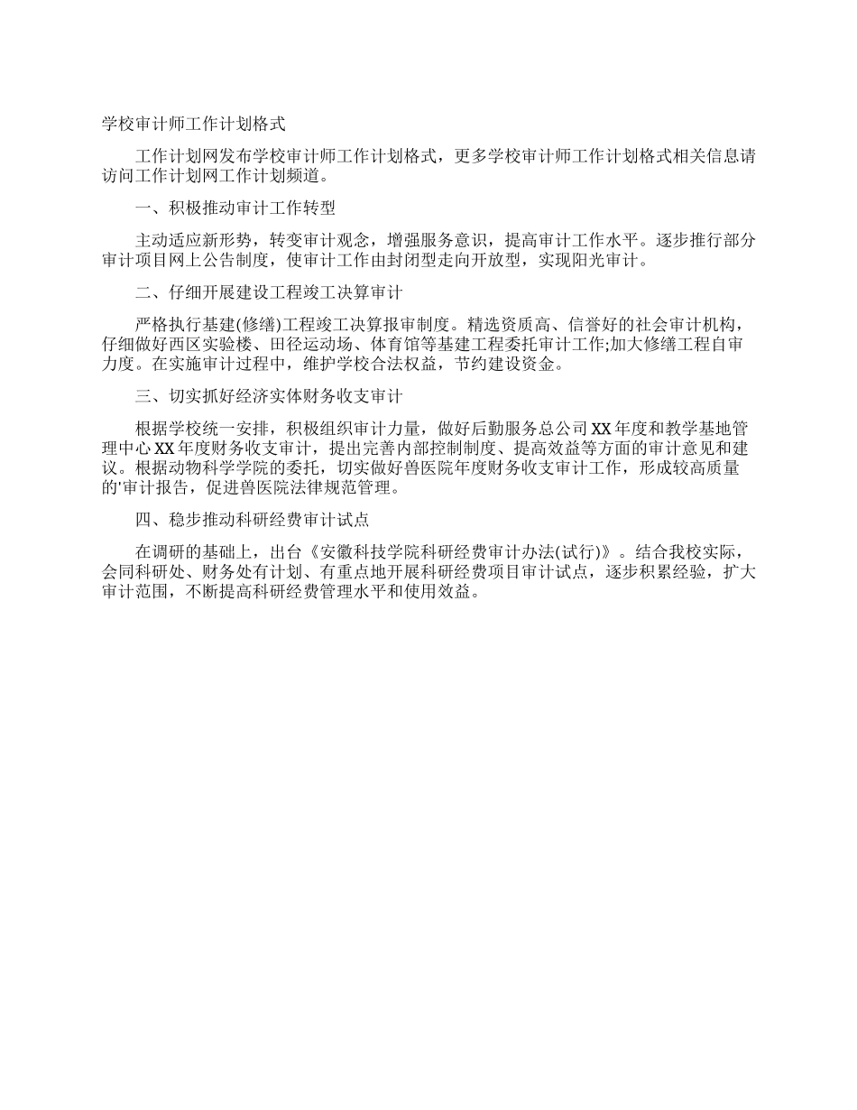 学校审计师工作计划格式_第1页