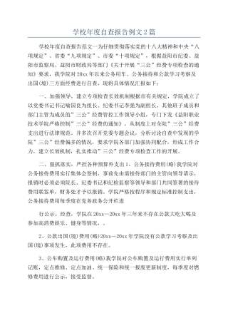 学校年度自查报告例文2篇