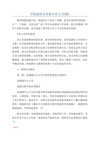 学校建设自查报告范文