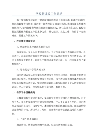 学校新课改工作总结