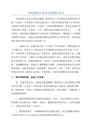 学校清理小金库自查报告范文