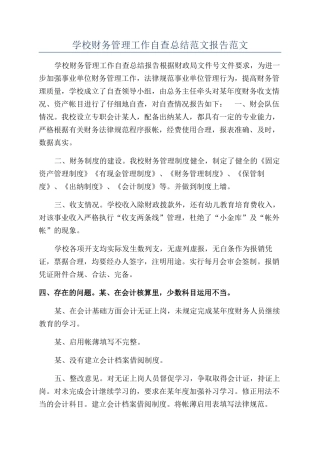 学校财务管理工作自查总结范文报告范文