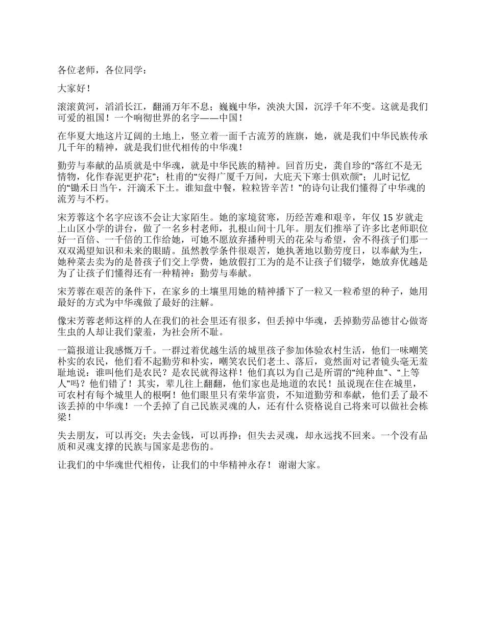 学生爱国演讲稿——中华精神_第1页