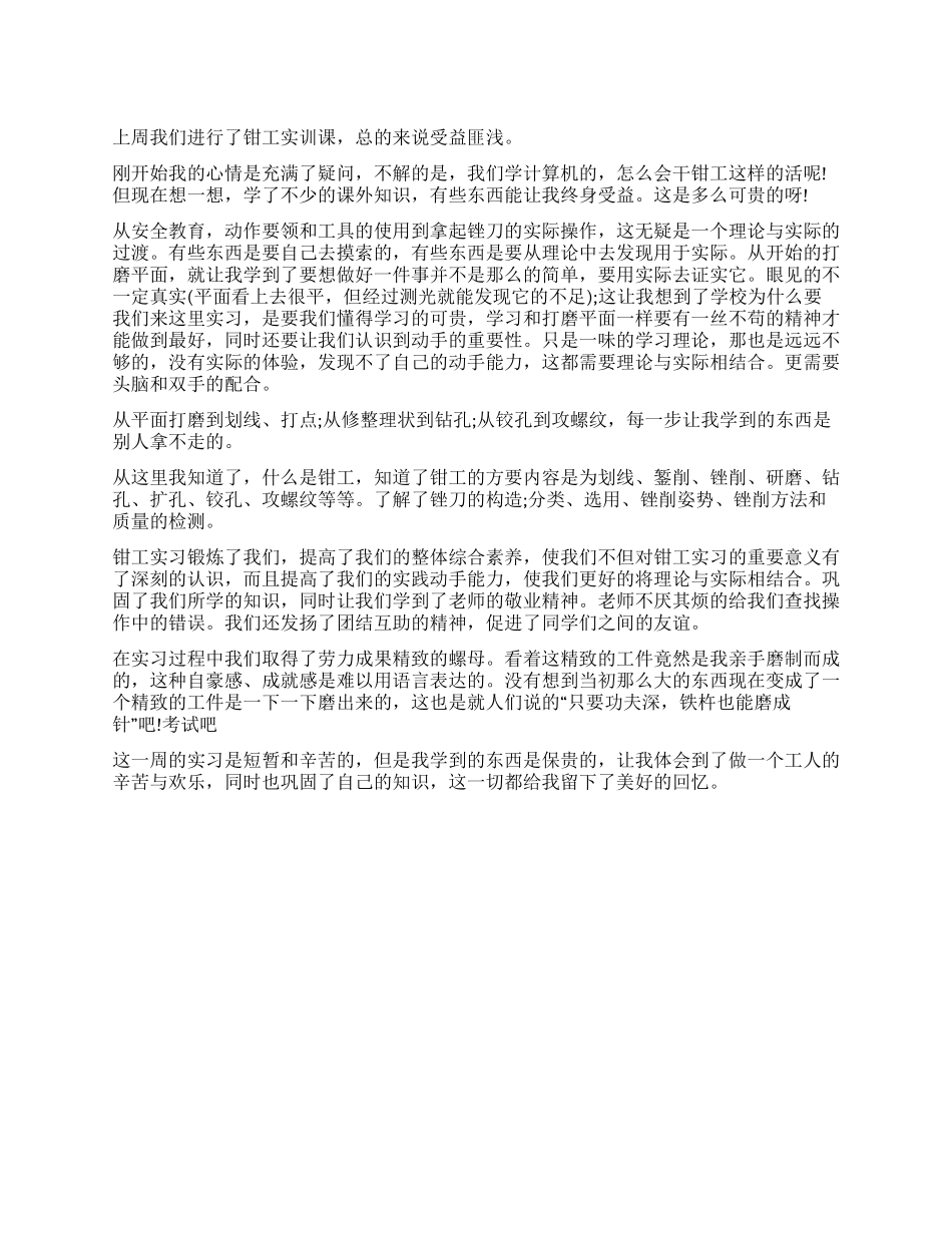 学生钳工实训报告_第1页