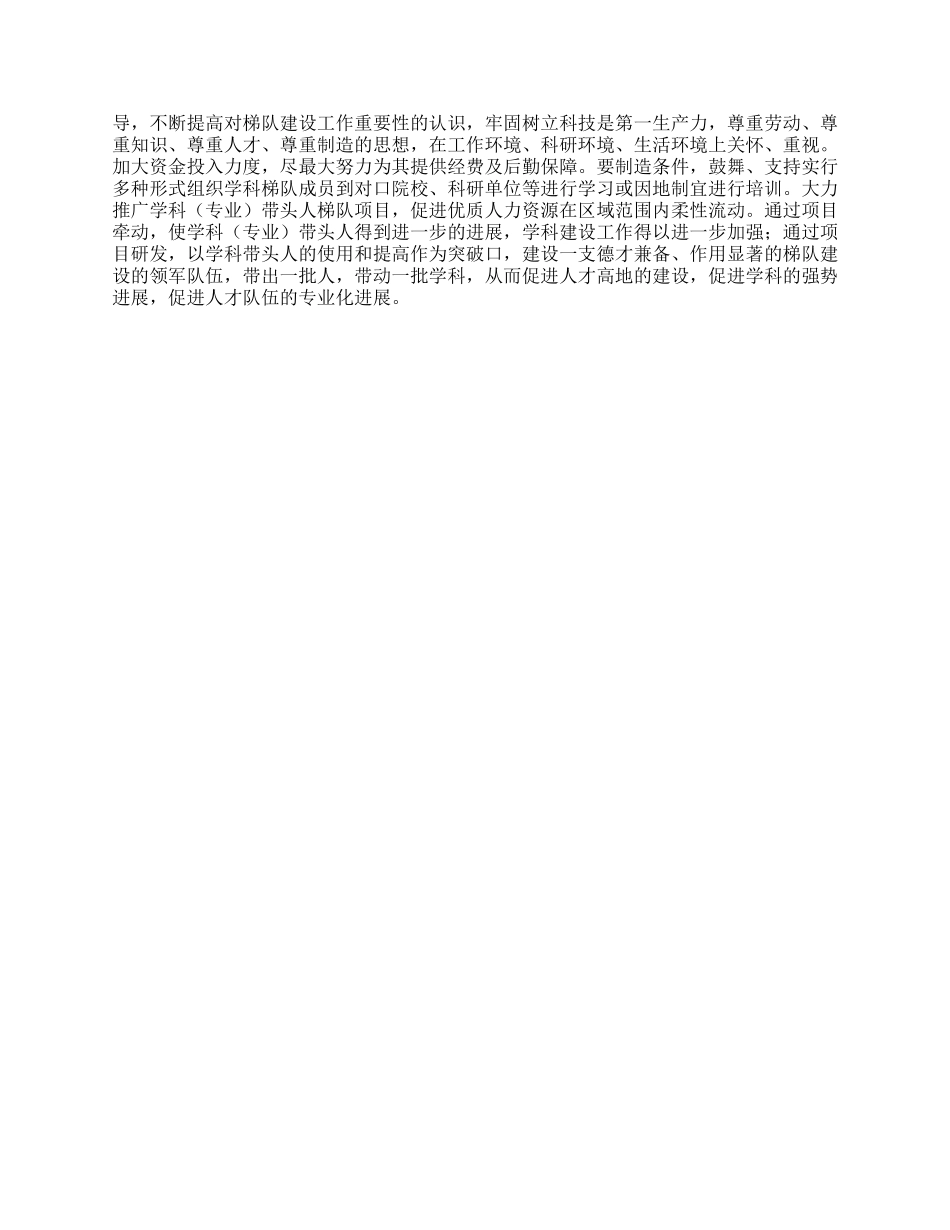 学科专业带头人梯队建设工作总结_第3页