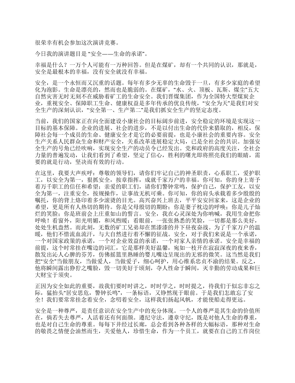 安全——生命的承诺_第1页