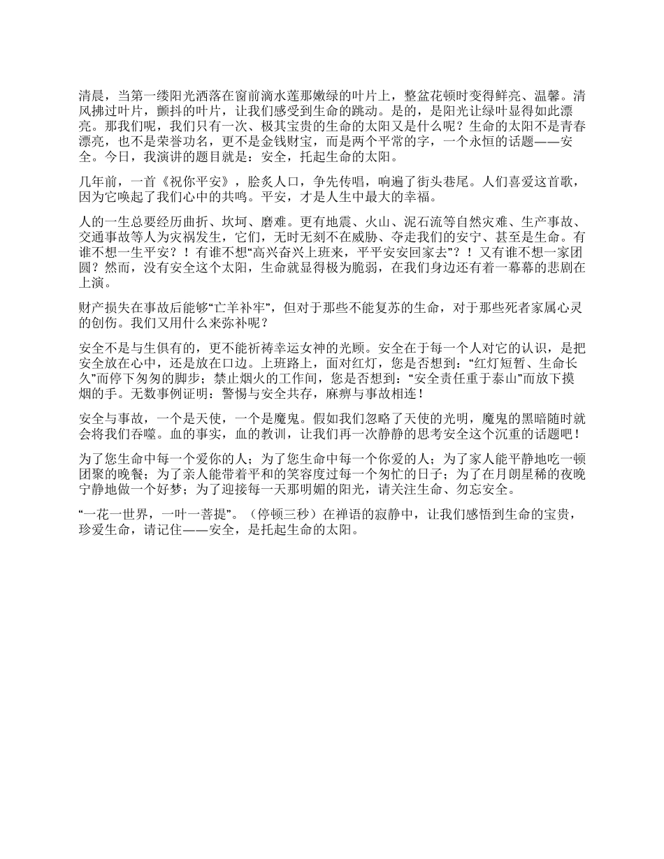 安全托起生命的太阳_第1页