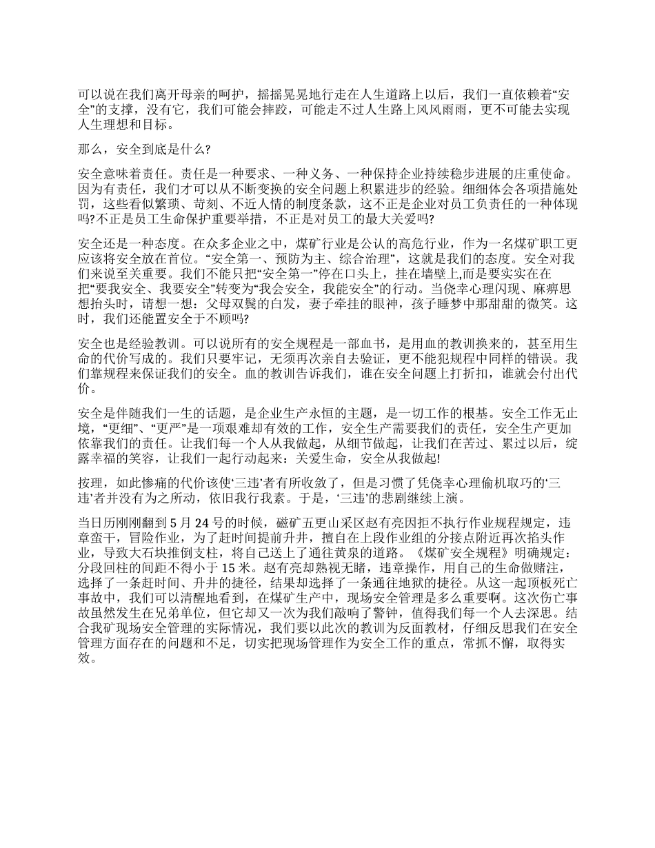 安全效益的保障征文演讲_第1页