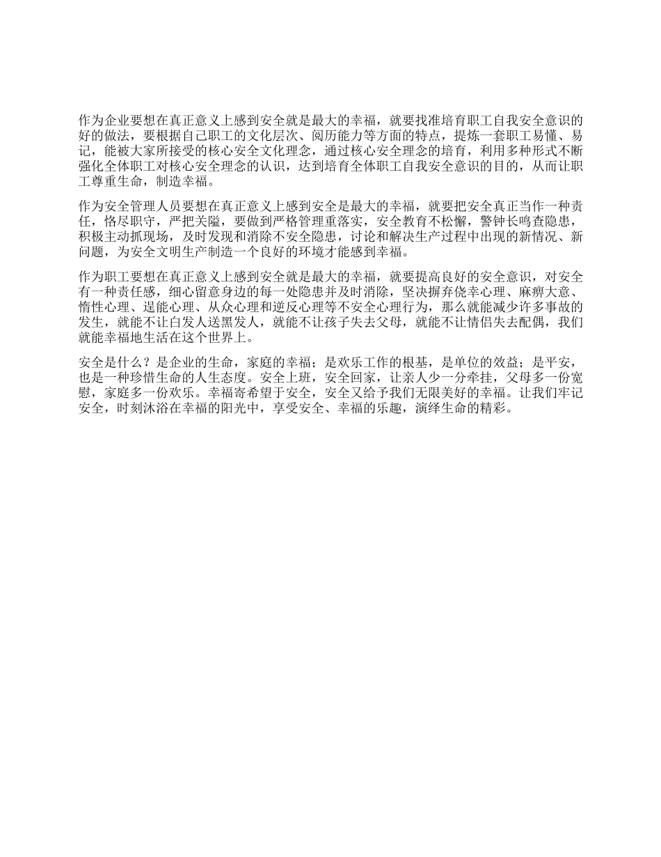 安全是最大的幸福_第1页