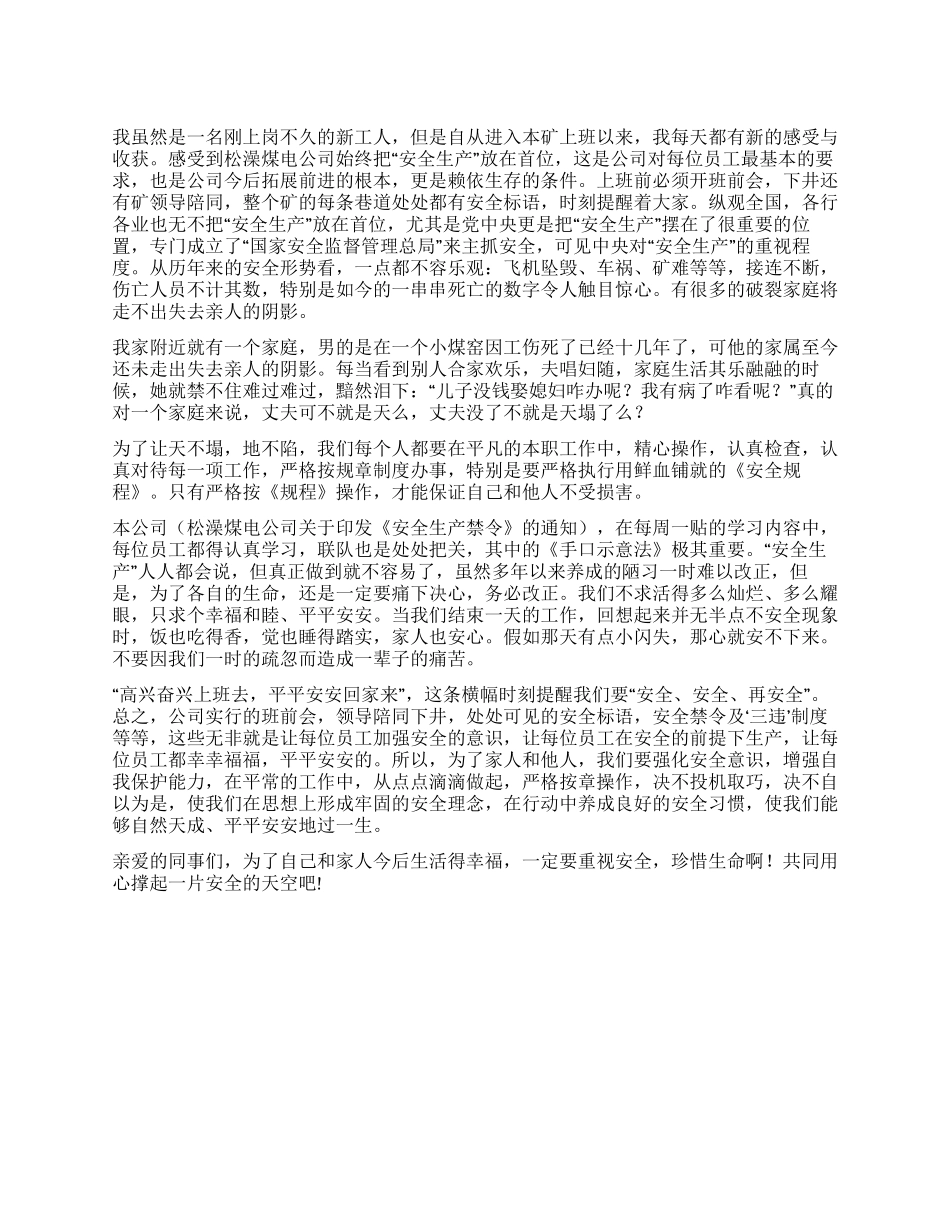 安全是生命之本违章是事故之源_第1页