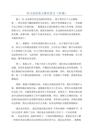 实习总结范文报告范文（20篇）