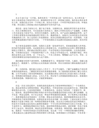 实习生电商见习工作报告总结