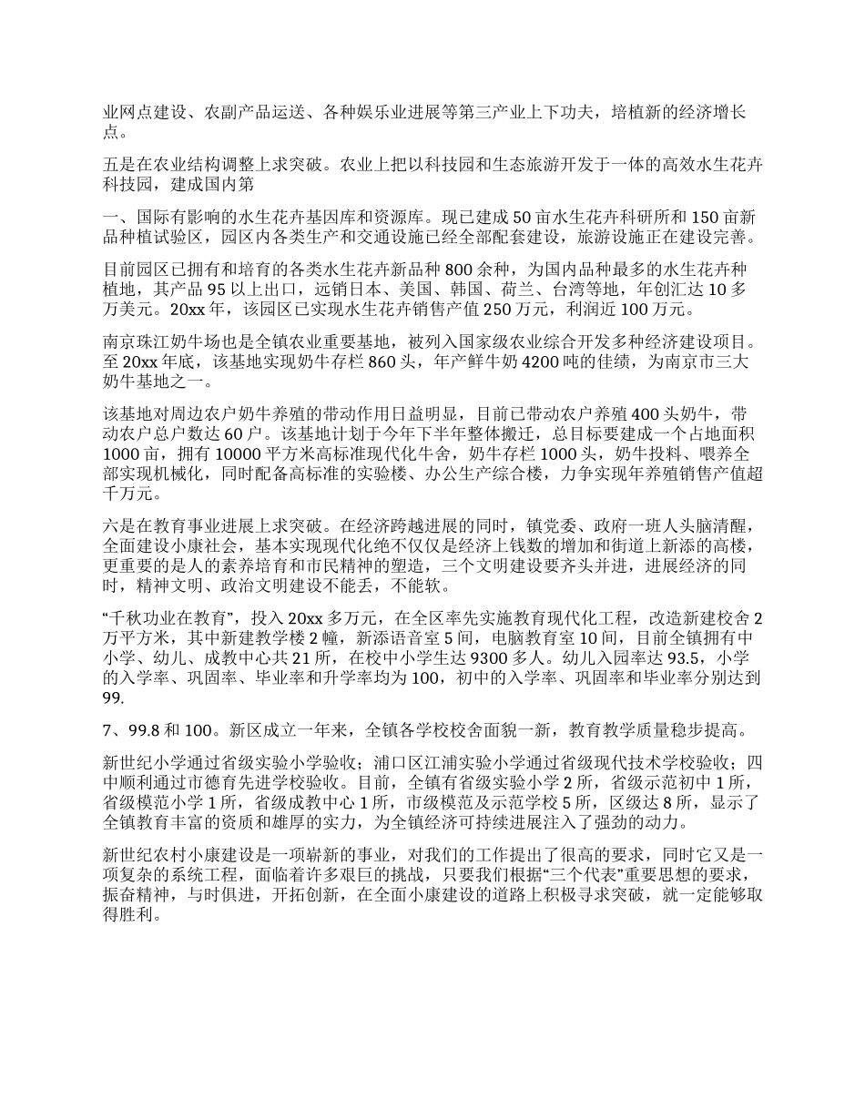 实现农村小康建设的新突破_第3页