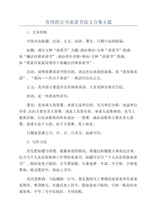 实用的公司承诺书范文合集6篇