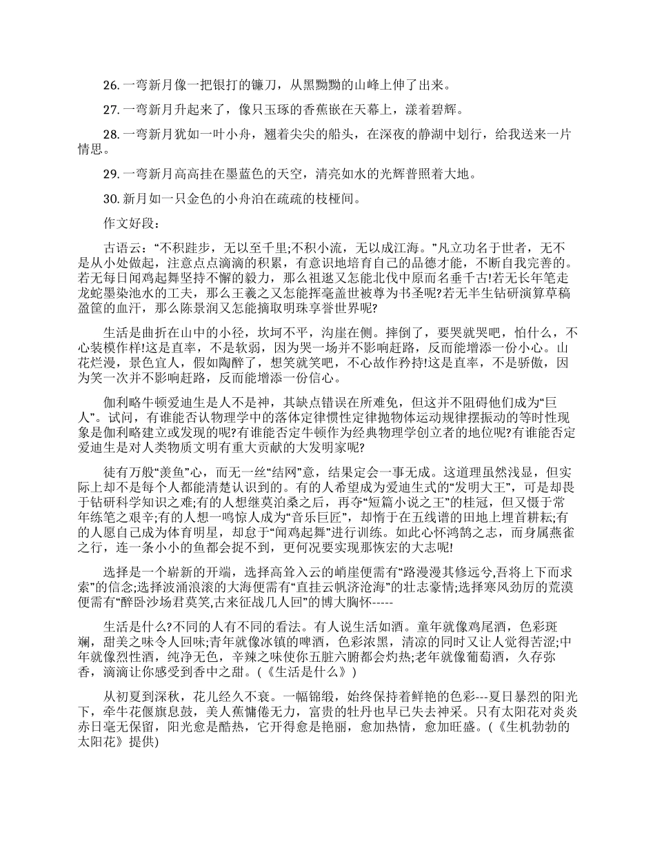 实用的好词好句作文集合10篇_第3页
