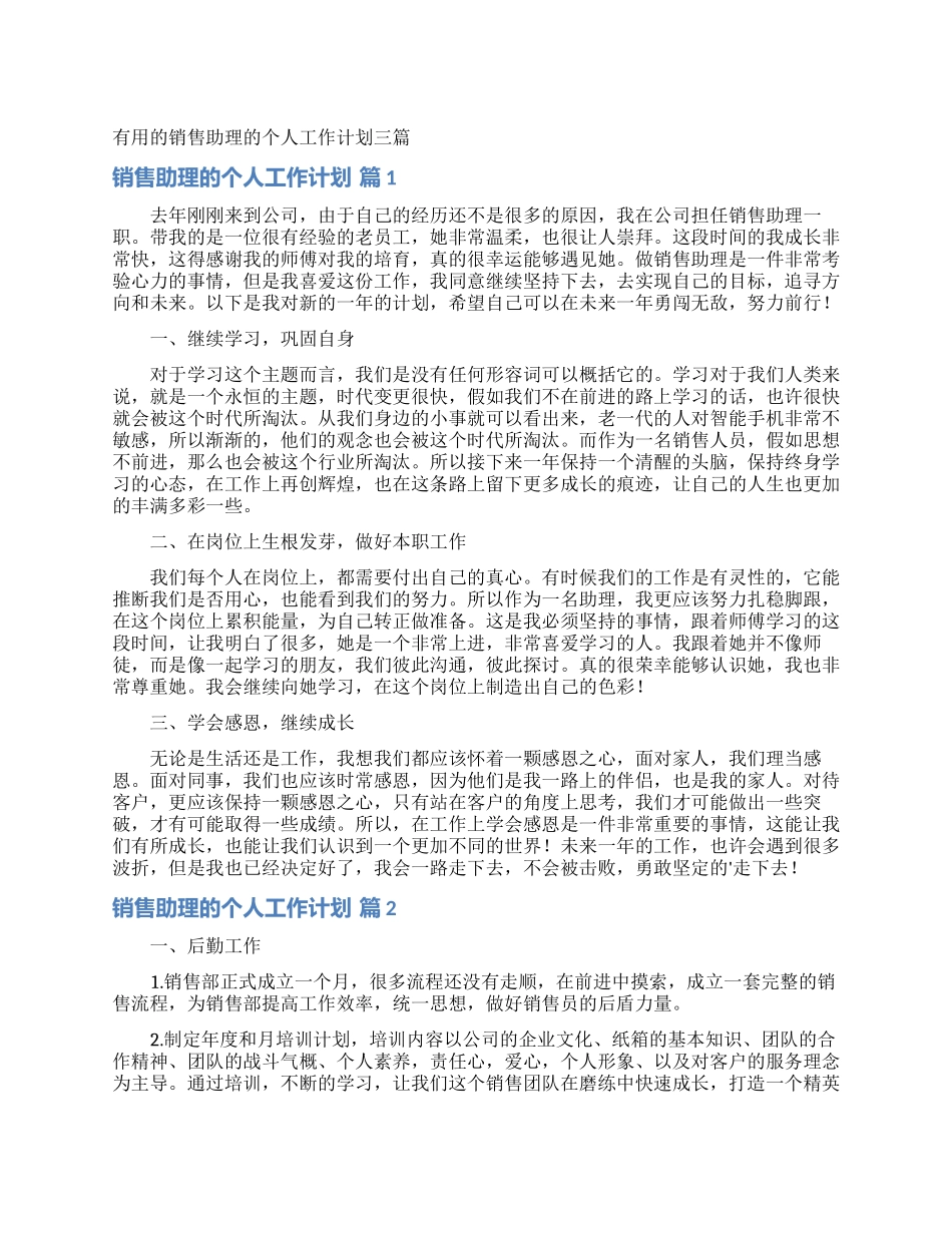 实用的销售助理的个人工作计划三篇_第1页