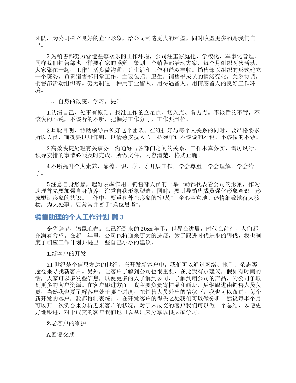 实用的销售助理的个人工作计划三篇_第2页