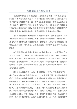实践团队工作总结范文
