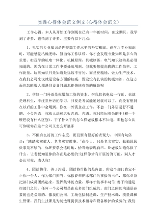 实践心得体会范文例文