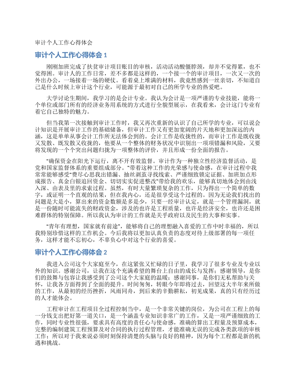 审计个人工作心得体会_第1页