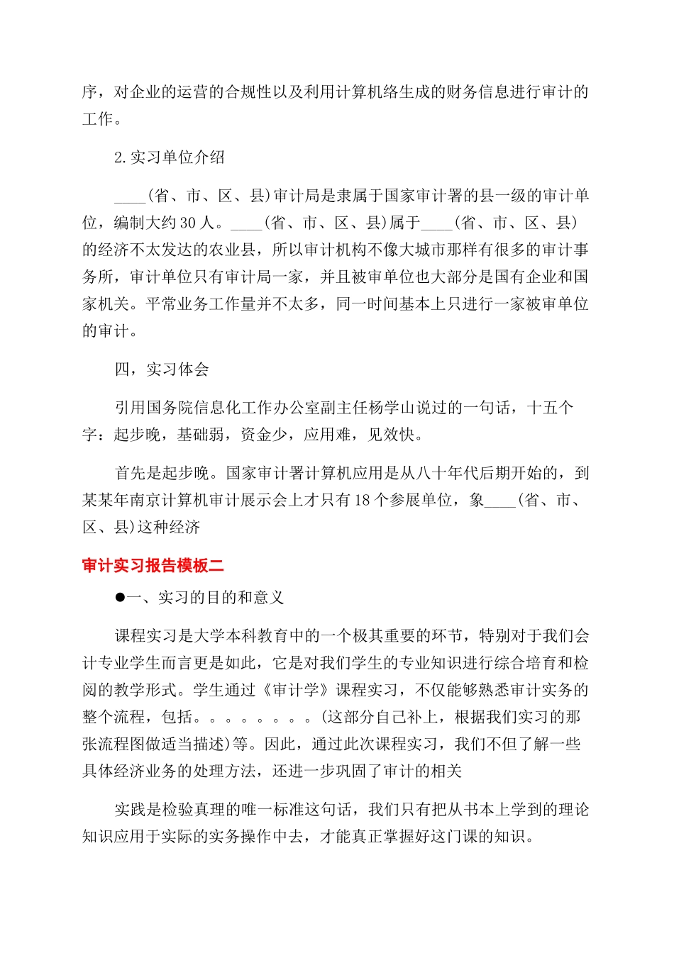 审计实习报告范文_第2页