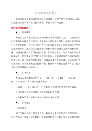 审计实习报告范文