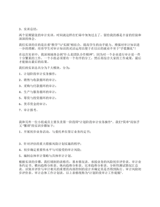 审计实训实习报告总结