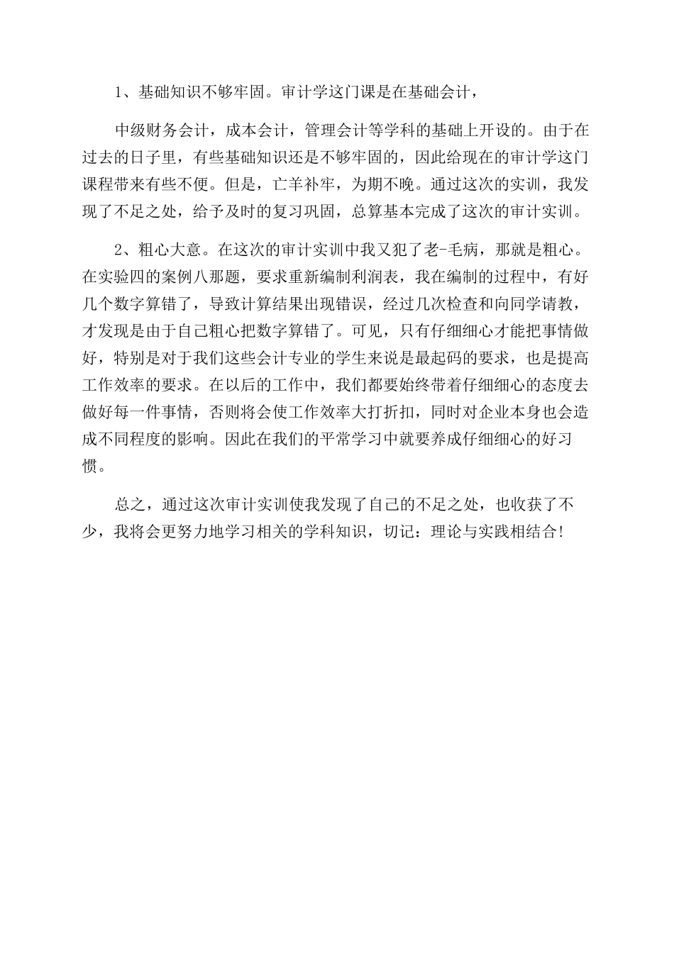 审计实训心得体会范文_第2页