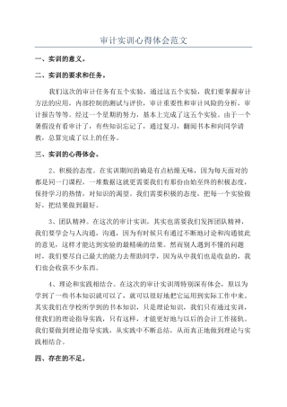 审计实训心得体会范文